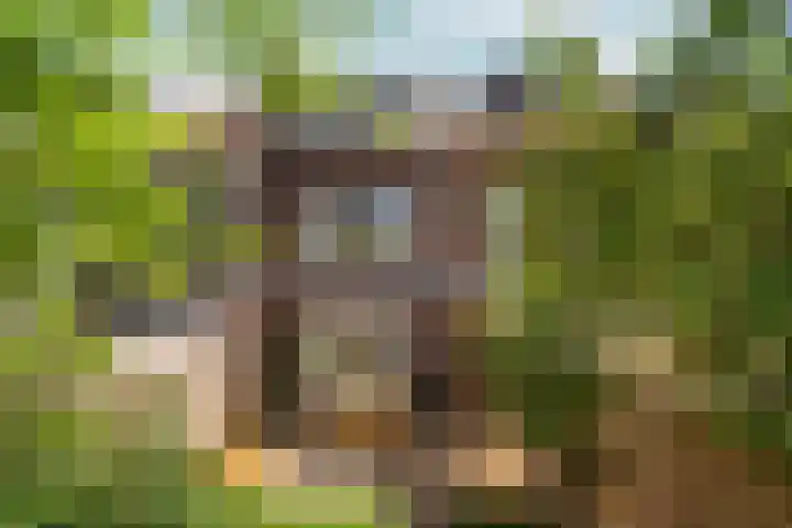 Gemsstraat 5 Nijmegen thumbnail 52