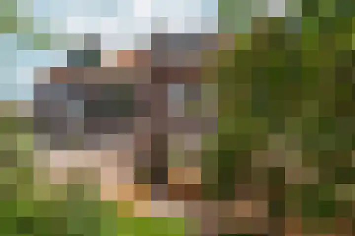 Gemsstraat 5 Nijmegen thumbnail 53