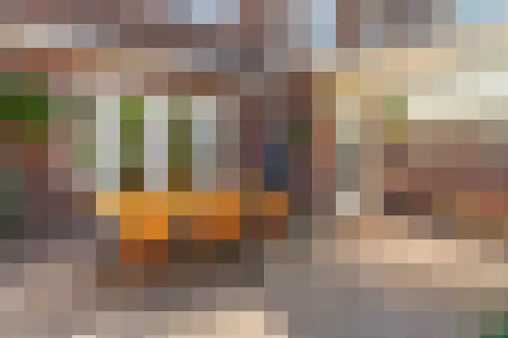 Gemsstraat 5 Nijmegen thumbnail 55