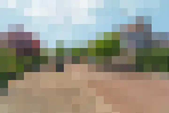Gemsstraat 5 Nijmegen thumbnail 56