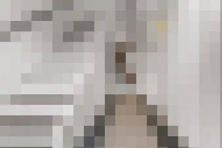 Gemsstraat 5 Nijmegen thumbnail 6