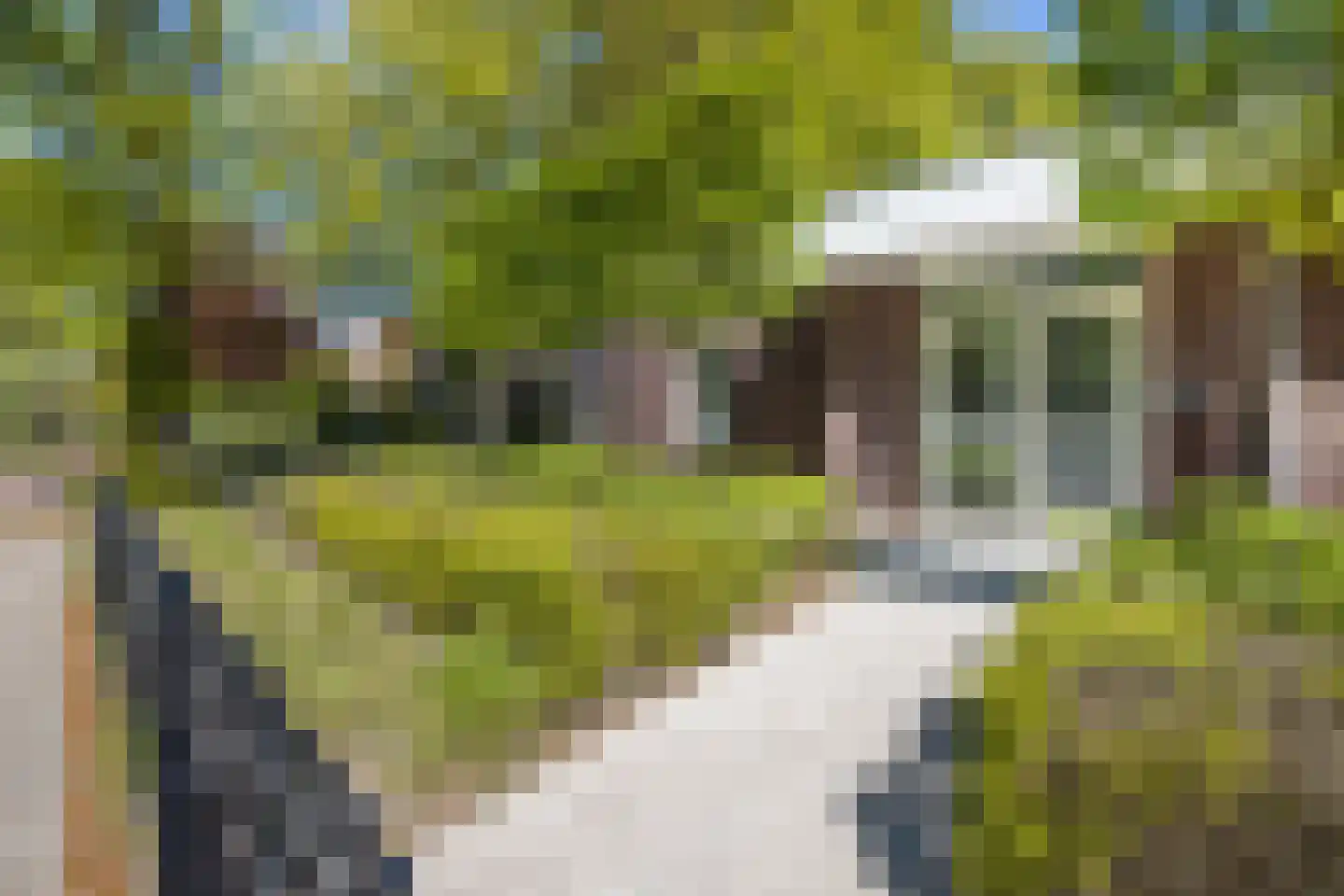 Gemullehoekenweg 135 Oisterwijk thumbnail 12