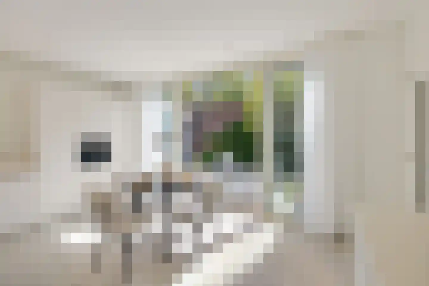 Gemullehoekenweg 135 Oisterwijk thumbnail 32