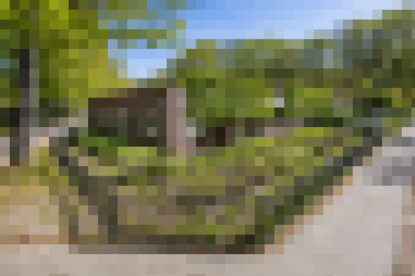 Gemullehoekenweg 135 Oisterwijk thumbnail 9