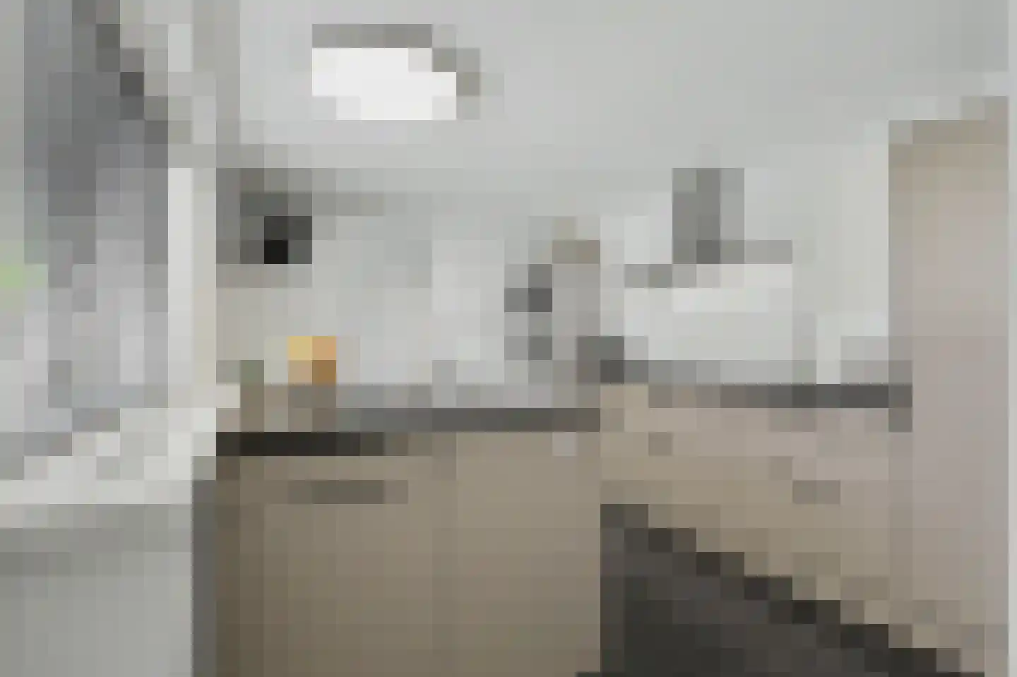 Gemullehoekenweg 33 Oisterwijk thumbnail 12
