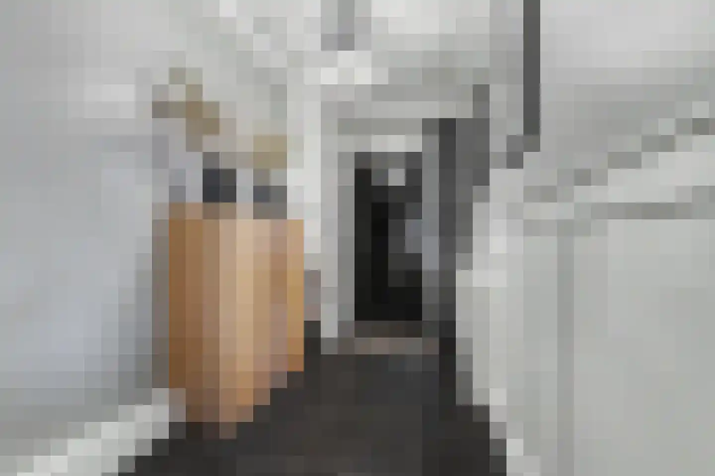 Gemullehoekenweg 33 Oisterwijk thumbnail 20