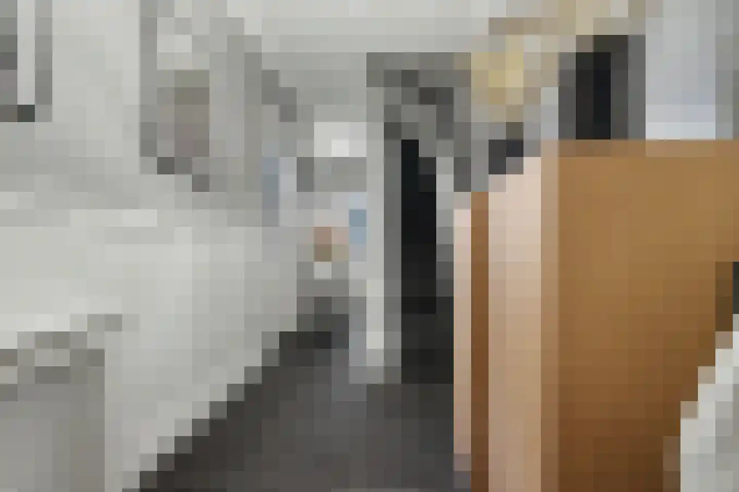 Gemullehoekenweg 33 Oisterwijk thumbnail 21