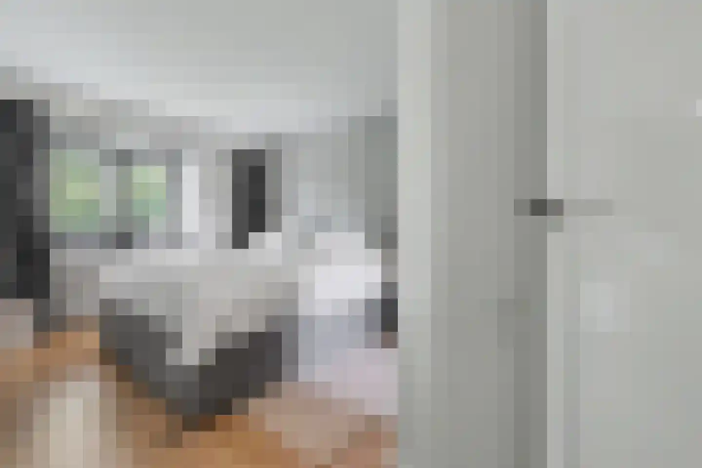 Gemullehoekenweg 33 Oisterwijk thumbnail 22