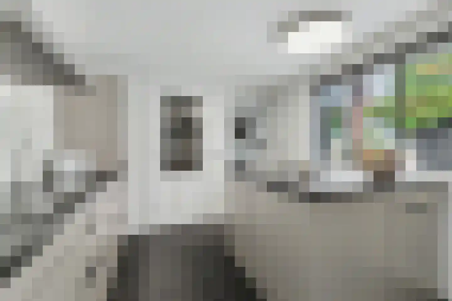 Gemullehoekenweg 33 Oisterwijk thumbnail 4