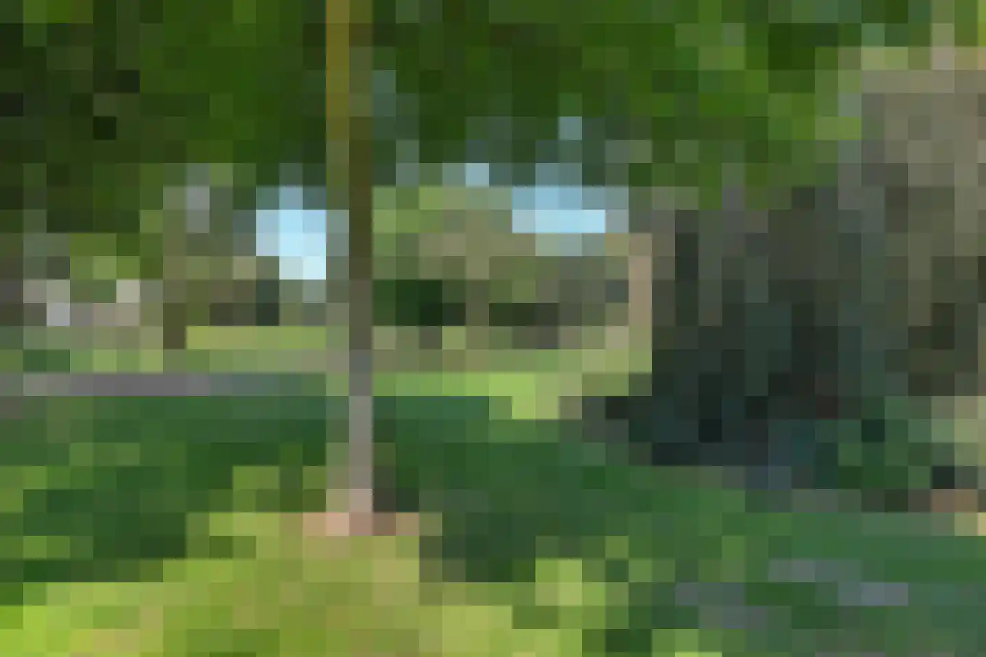 Gemullehoekenweg 33 Oisterwijk thumbnail 54