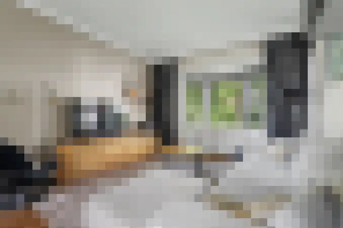 Gemullehoekenweg 33 Oisterwijk thumbnail 7