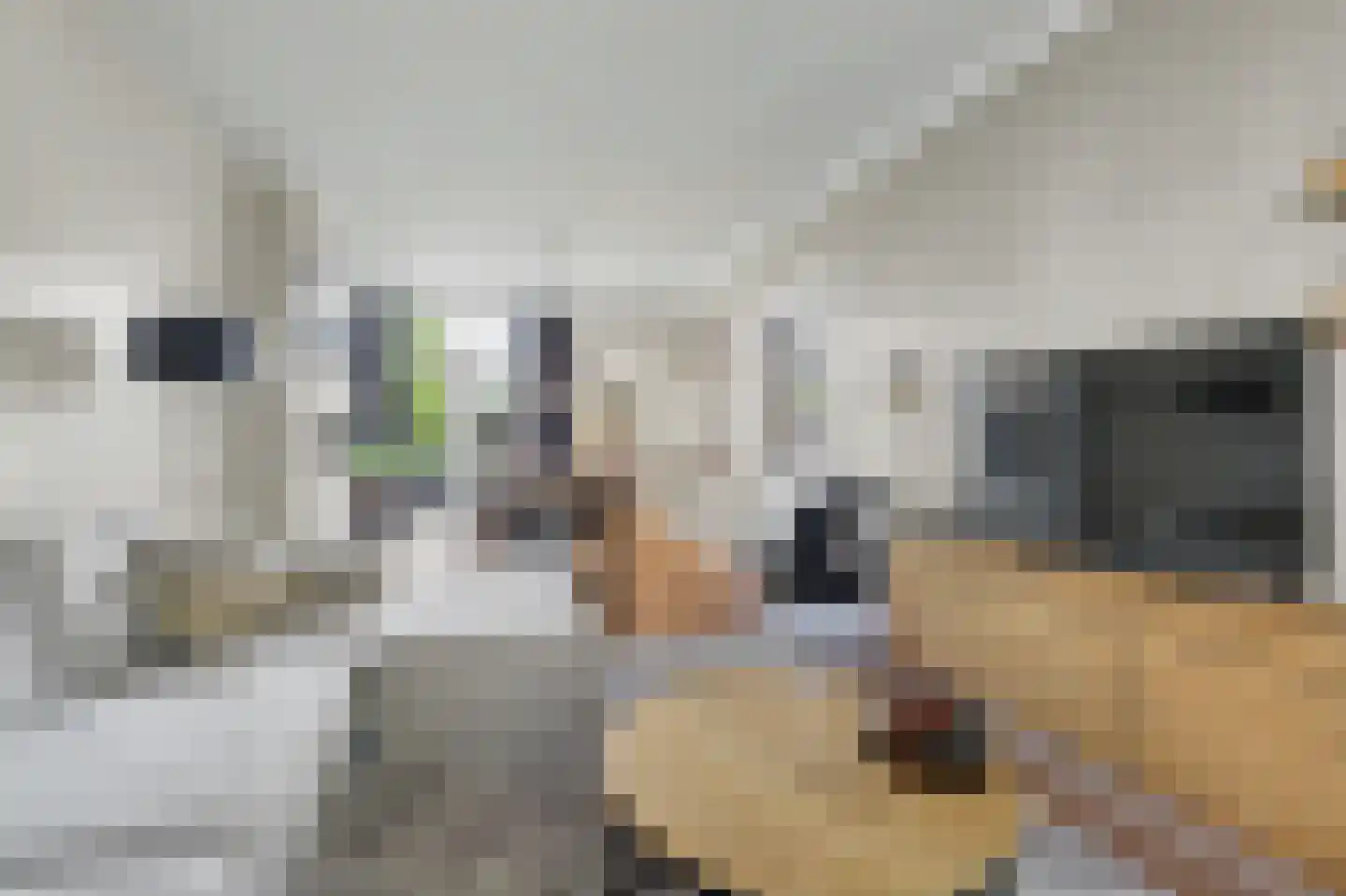 Gemullehoekenweg 33 Oisterwijk thumbnail 8