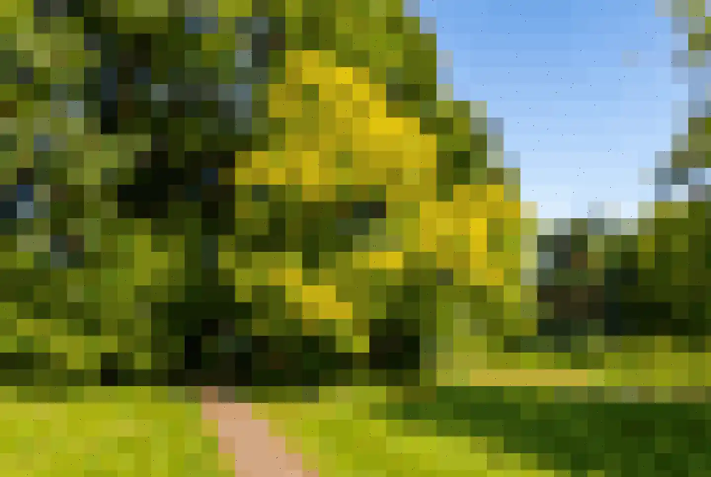 Gemullehoekenweg 39 A Oisterwijk thumbnail 13