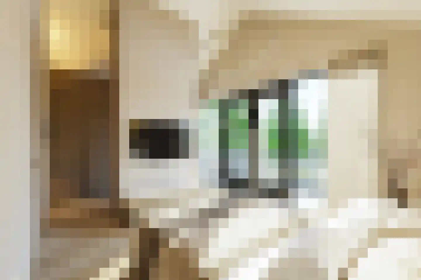 Gemullehoekenweg 39 A Oisterwijk thumbnail 7