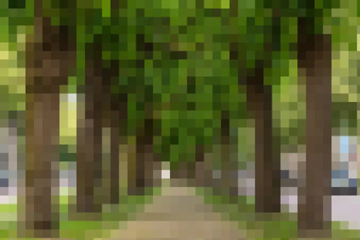 Gemullehoekenweg 39 Oisterwijk thumbnail 12
