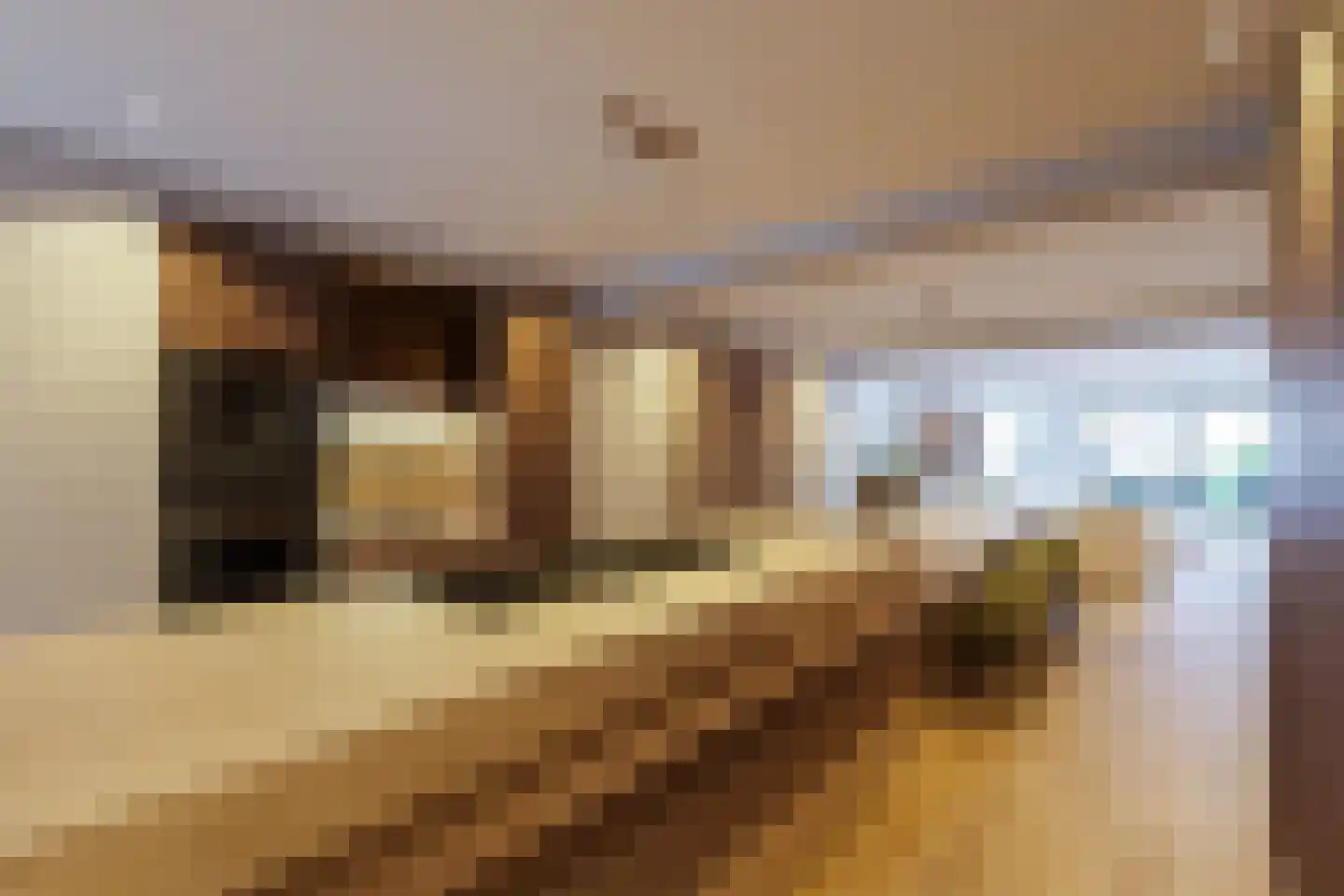 Gemullehoekenweg 39 Oisterwijk thumbnail 4