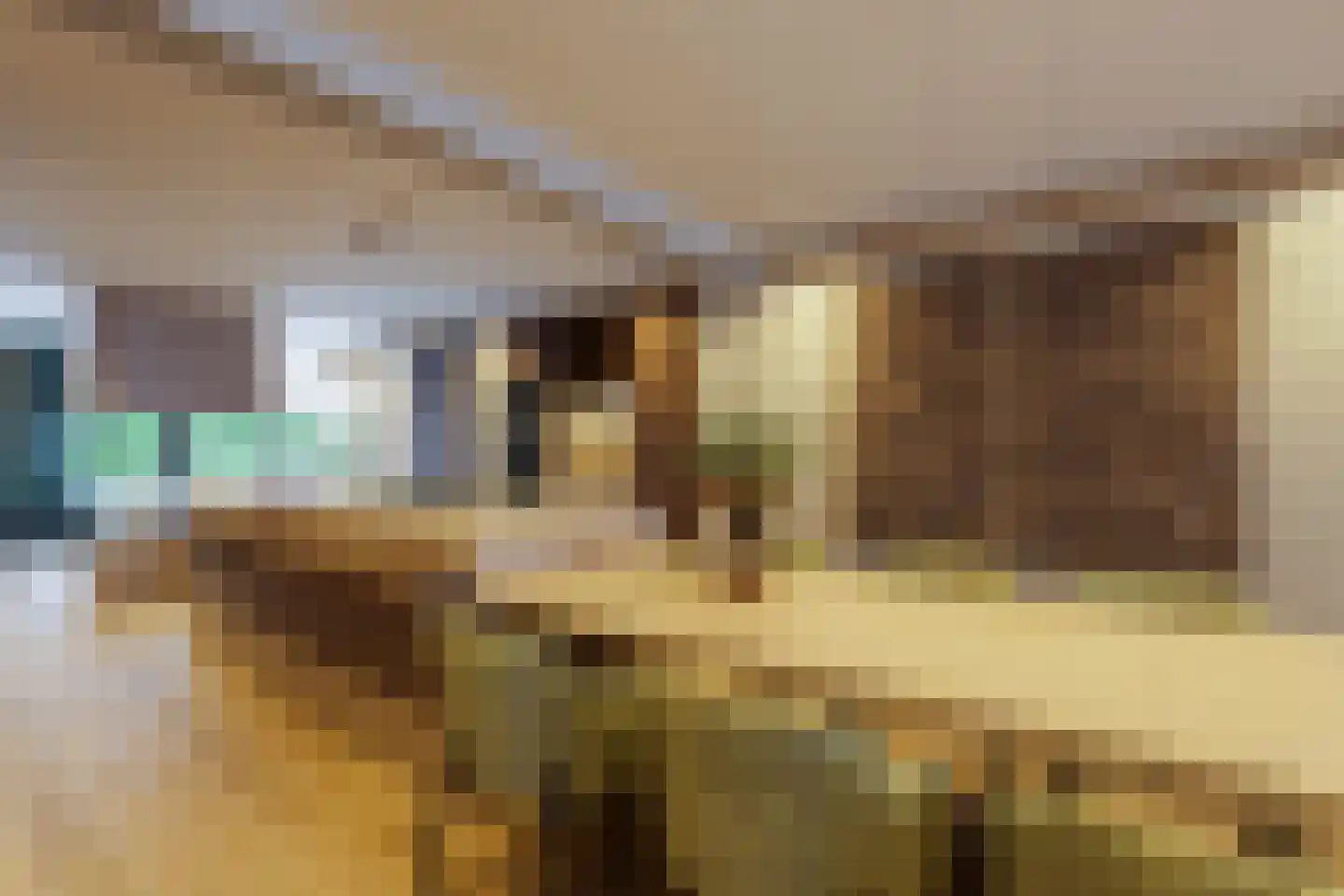 Gemullehoekenweg 39 Oisterwijk thumbnail 5