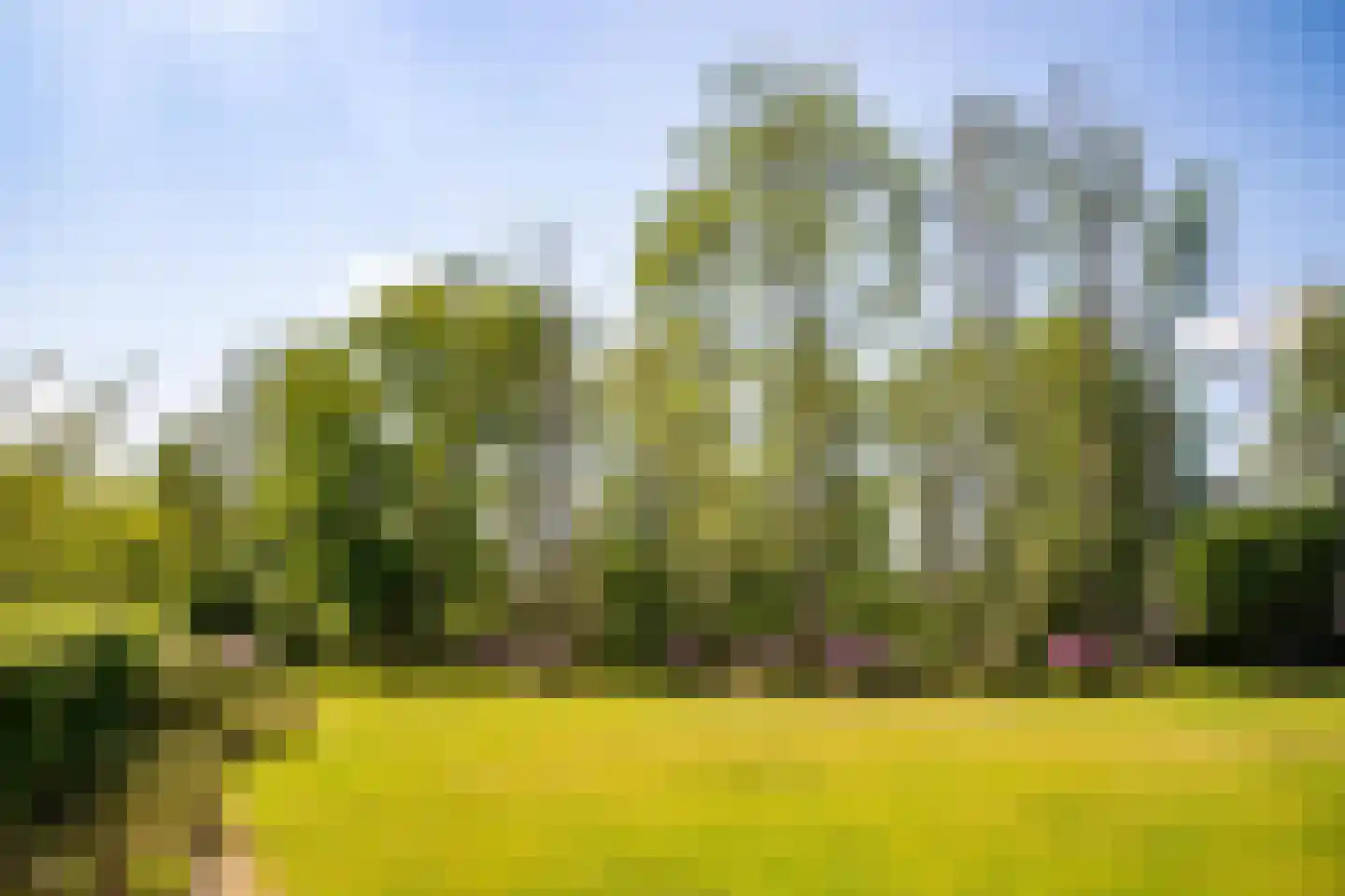 Gemullehoekenweg 54 Oisterwijk thumbnail 13