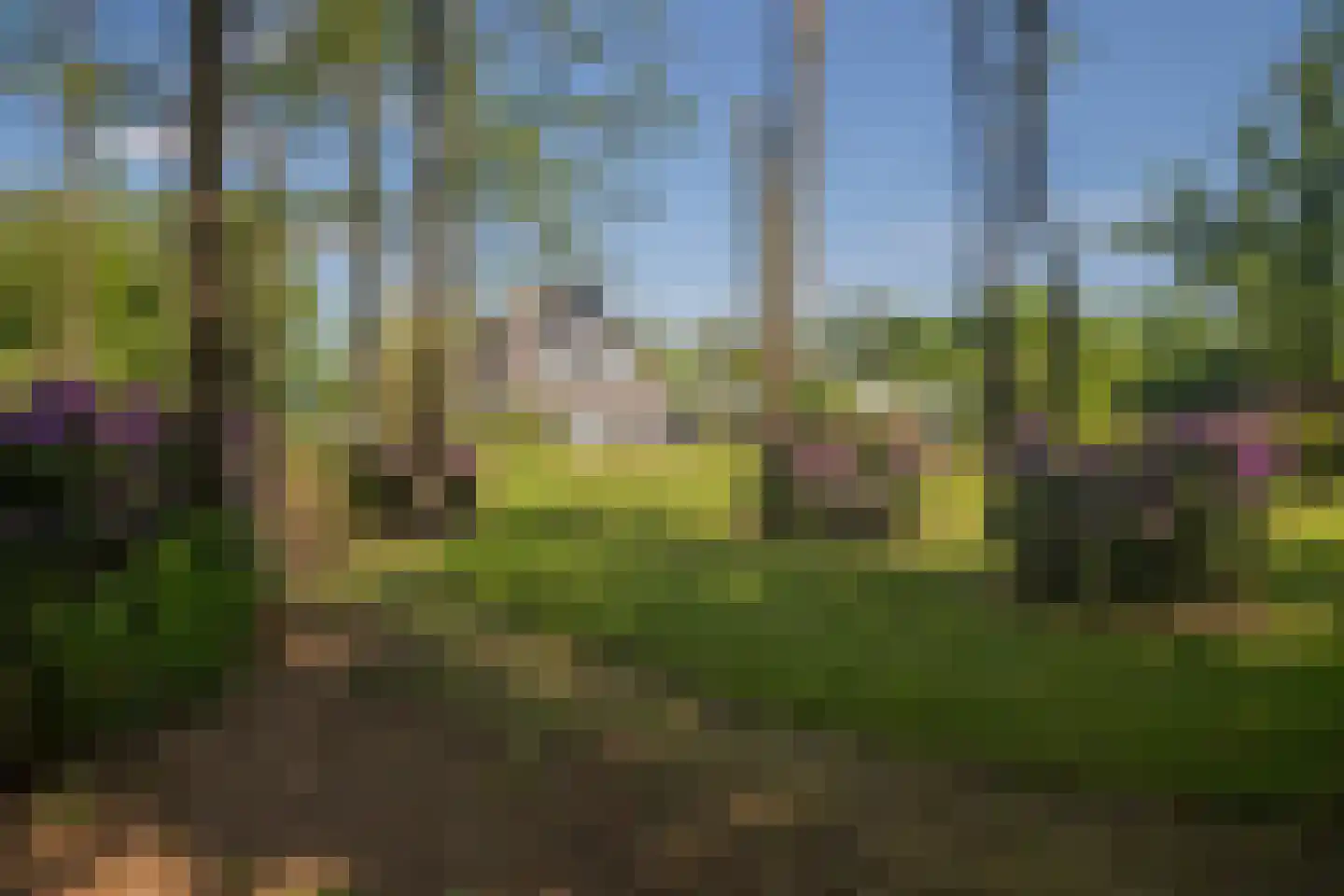 Gemullehoekenweg 54 Oisterwijk thumbnail 5