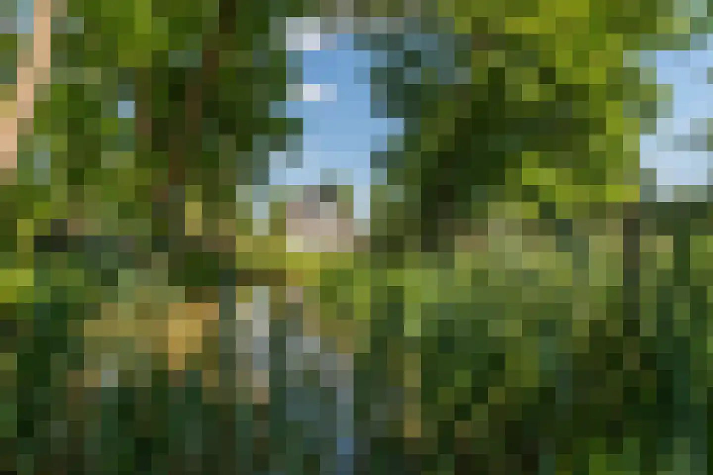 Gemullehoekenweg 54 Oisterwijk thumbnail 6