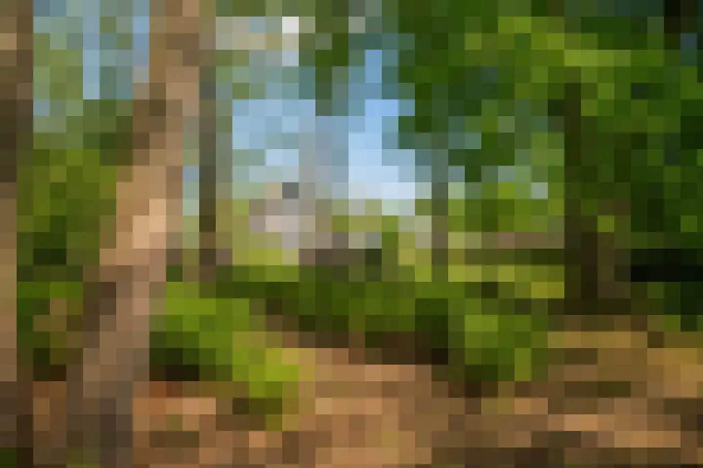Gemullehoekenweg 54 Oisterwijk thumbnail 7
