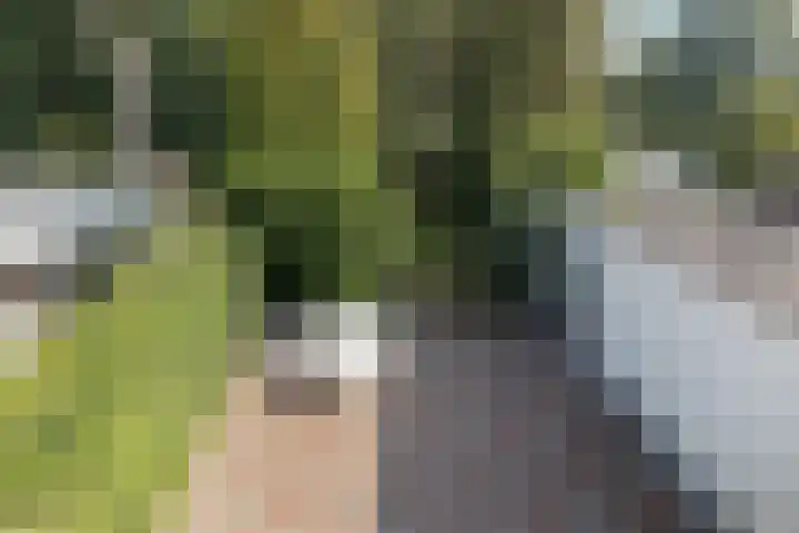 Gemullehoekenweg 67 Oisterwijk thumbnail 23