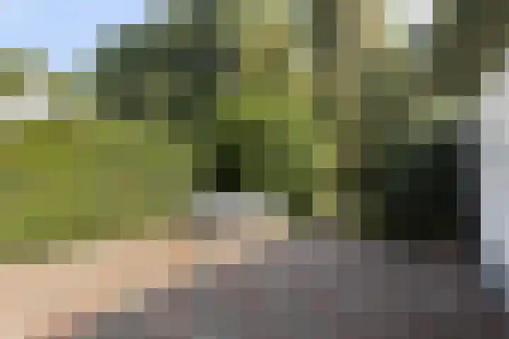 Gemullehoekenweg 67 Oisterwijk thumbnail 24