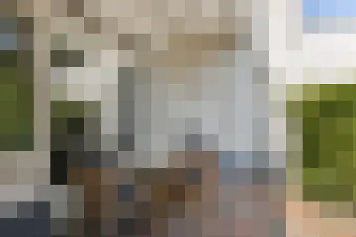 Gemullehoekenweg 67 Oisterwijk thumbnail 26