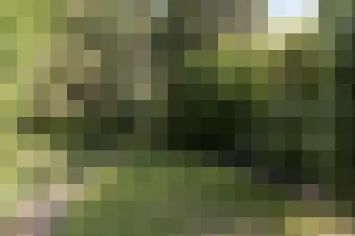 Gemullehoekenweg 67 Oisterwijk thumbnail 28