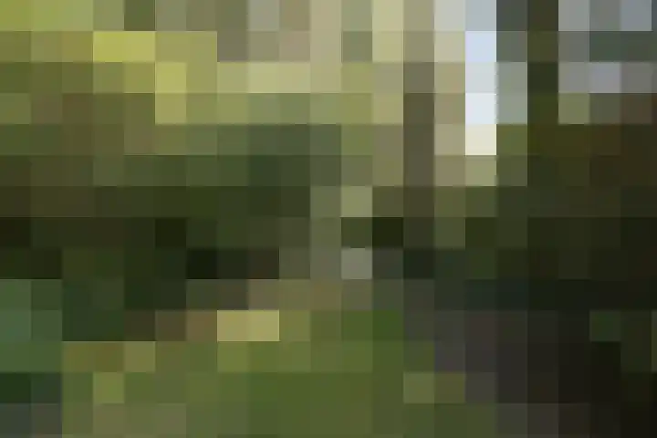 Gemullehoekenweg 67 Oisterwijk thumbnail 29