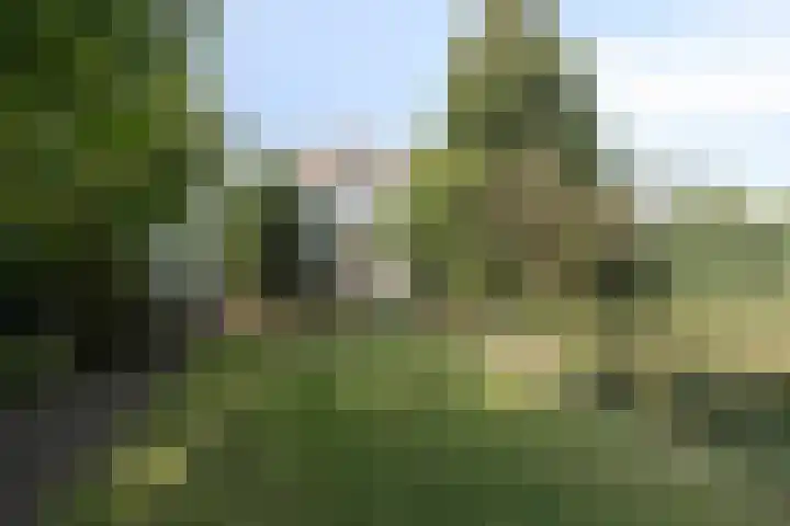 Gemullehoekenweg 67 Oisterwijk thumbnail 30