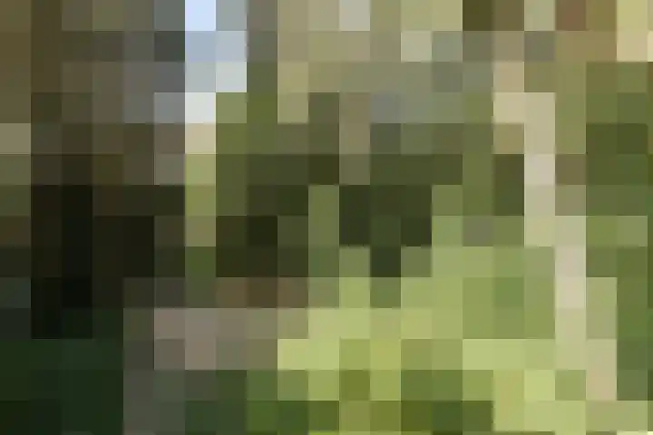 Gemullehoekenweg 67 Oisterwijk thumbnail 32