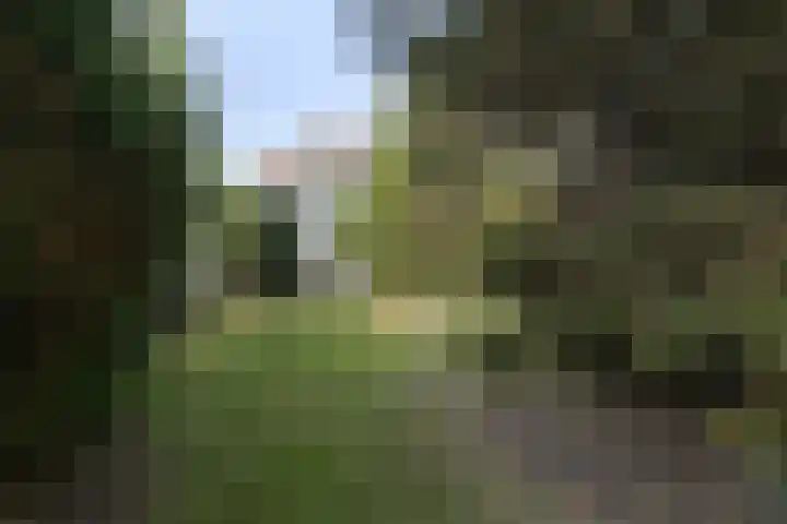 Gemullehoekenweg 67 Oisterwijk thumbnail 33