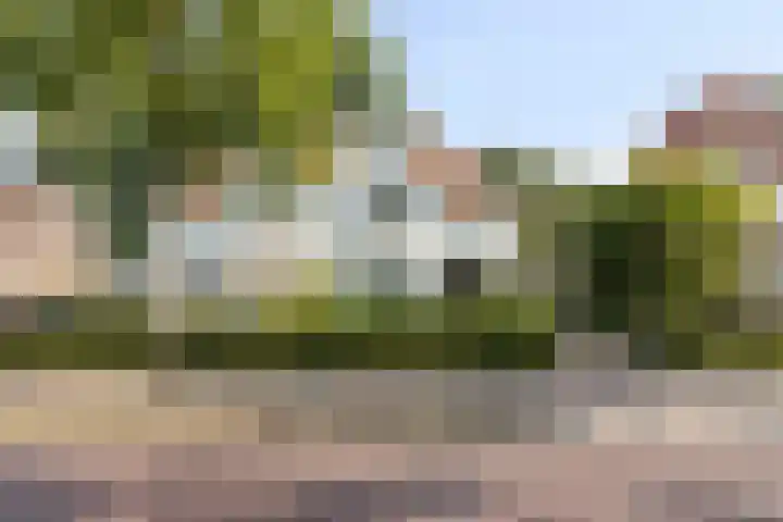 Gemullehoekenweg 67 Oisterwijk thumbnail 34