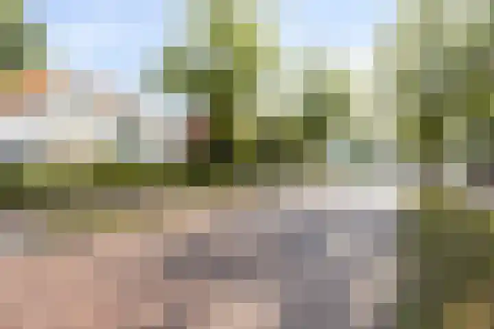 Gemullehoekenweg 67 Oisterwijk thumbnail 36