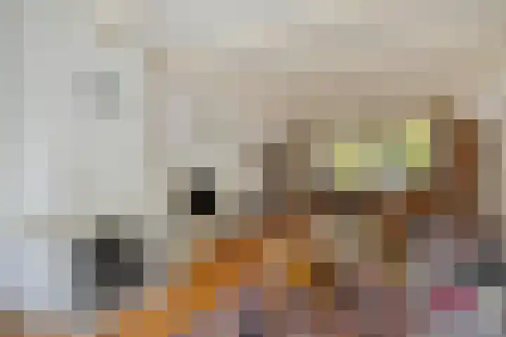 Gemullehoekenweg 67 Oisterwijk thumbnail 5