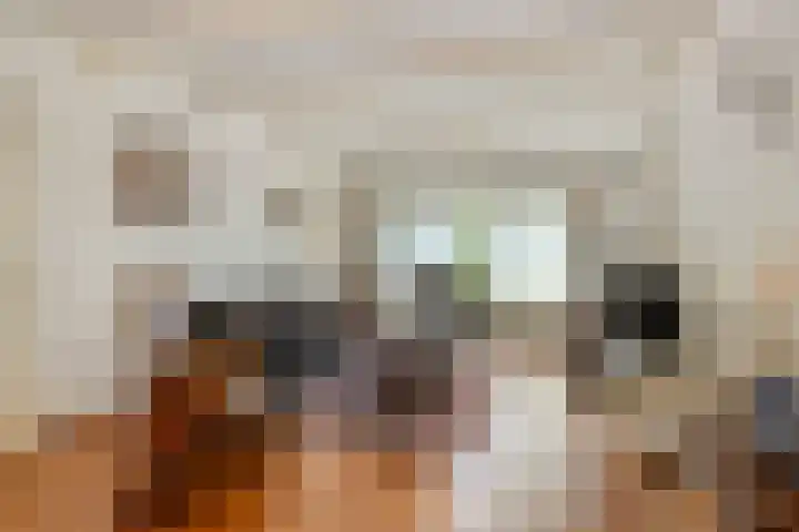Gemullehoekenweg 67 Oisterwijk thumbnail 8