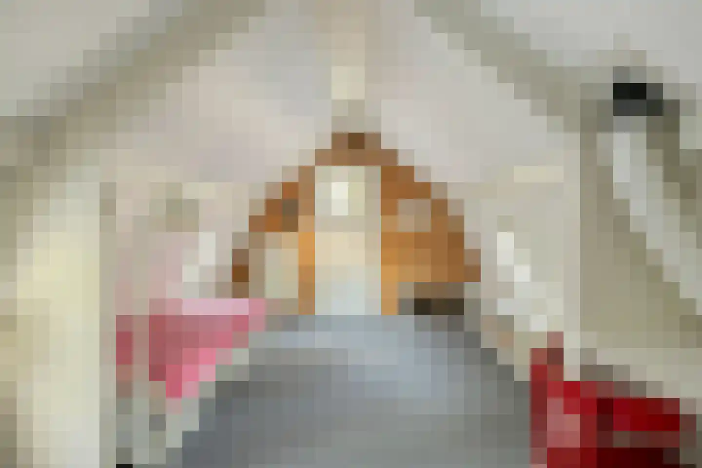 Gemullehoekenweg 81 Oisterwijk thumbnail 41