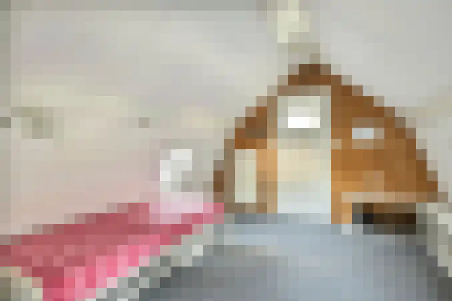 Gemullehoekenweg 81 Oisterwijk thumbnail 42