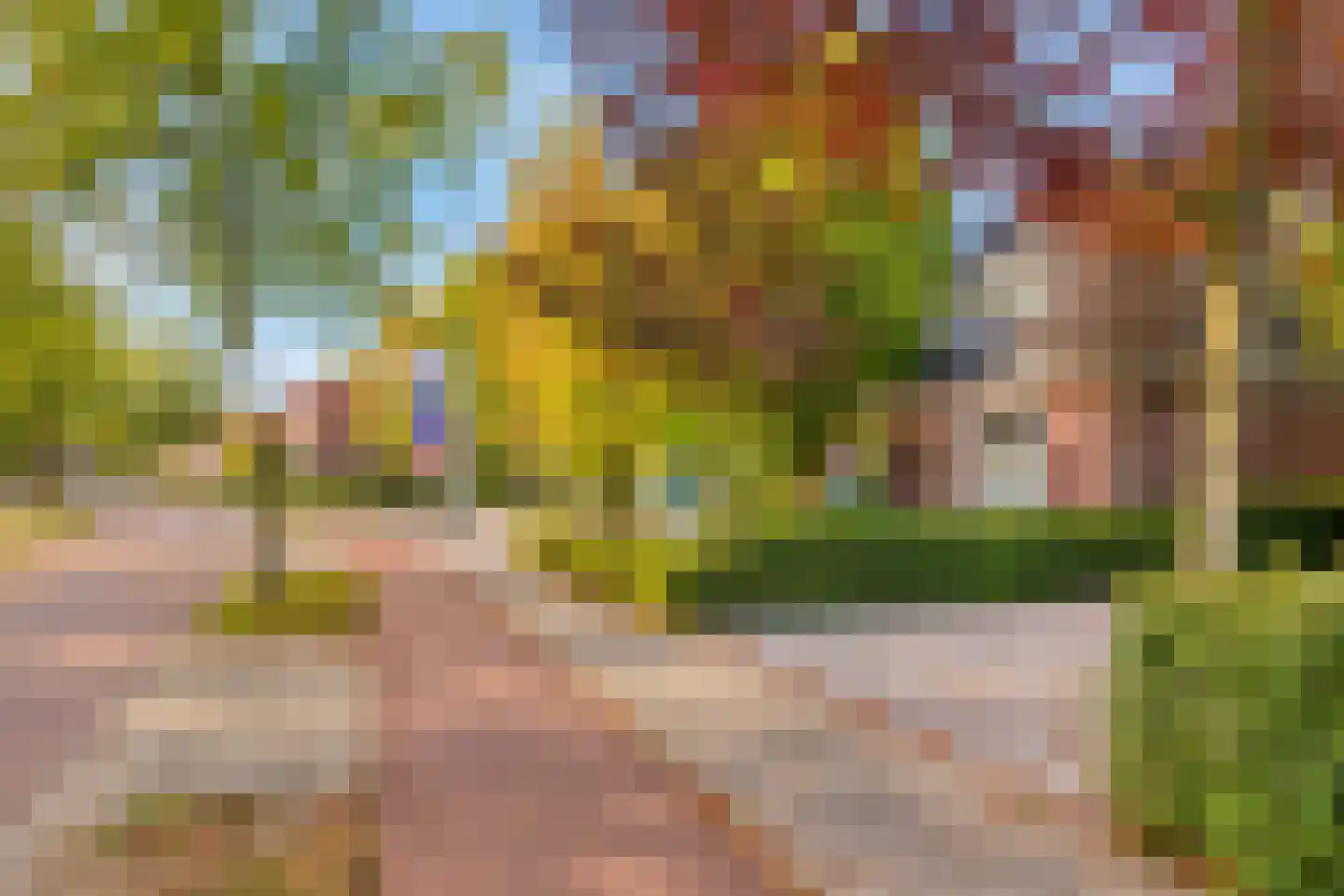 Gemullehoekenweg 81 Oisterwijk thumbnail 51