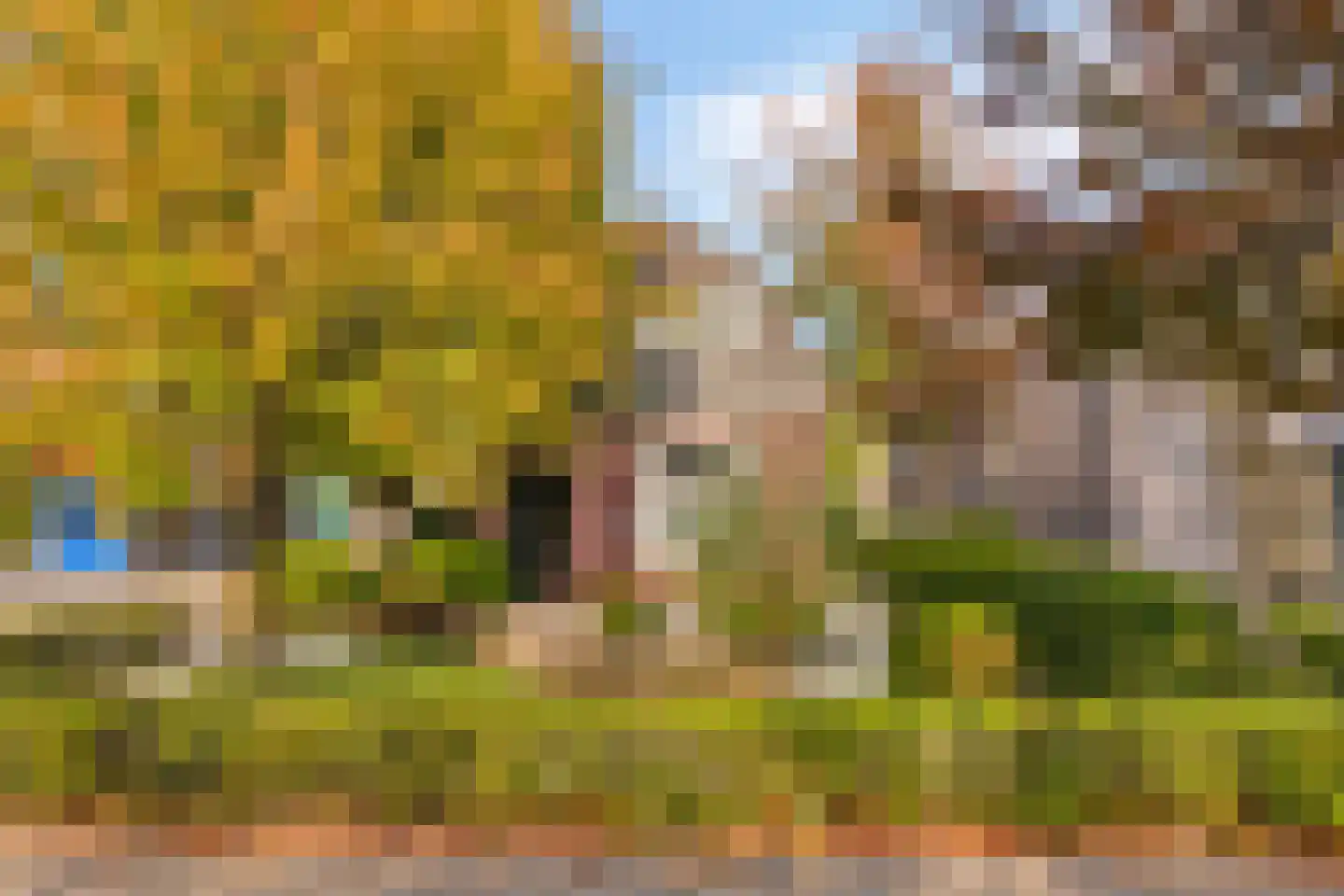 Gemullehoekenweg 81 Oisterwijk thumbnail 7