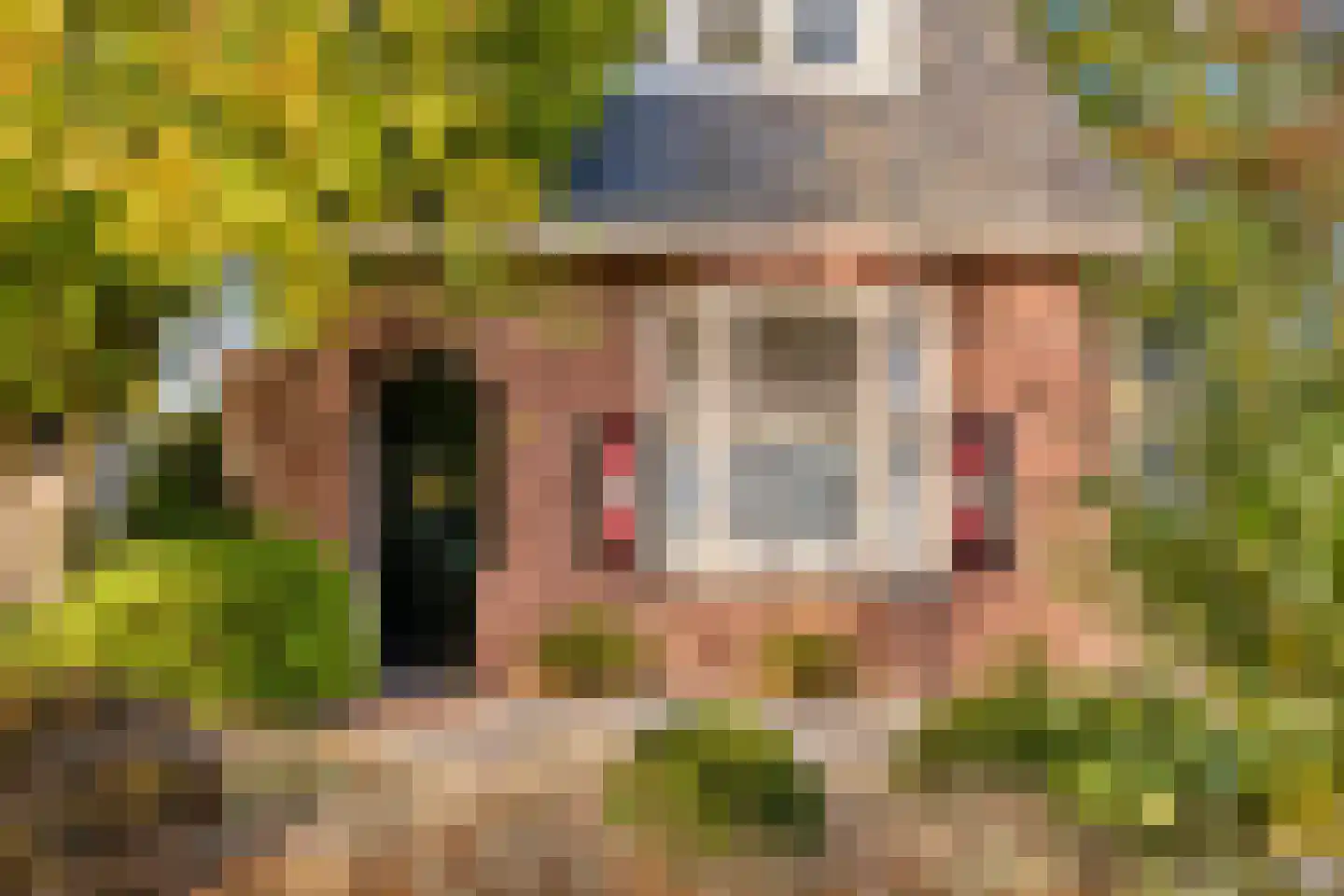 Gemullehoekenweg 81 Oisterwijk thumbnail 8