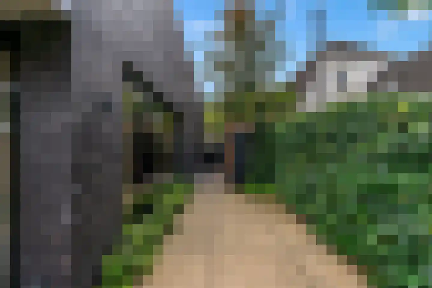 Gemullehoekenweg 83 Oisterwijk thumbnail 38