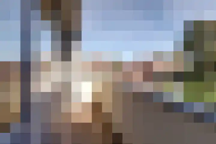 Gemzeweide 2 Nieuwegein thumbnail 15