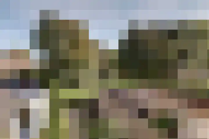 Gemzeweide 2 Nieuwegein thumbnail 16