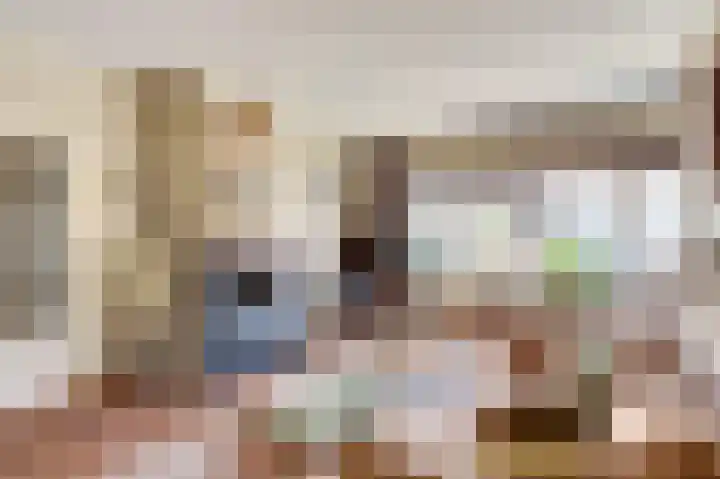 Gemzeweide 2 Nieuwegein foto 3