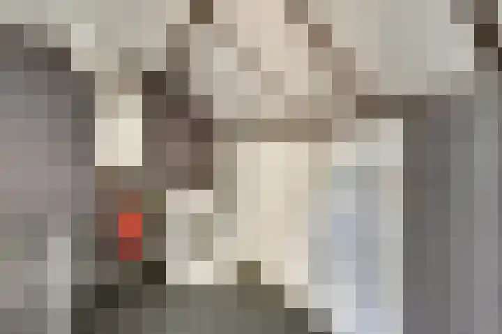 Gemzeweide 2 Nieuwegein thumbnail 31
