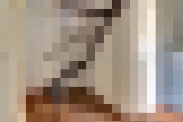 Gemzeweide 2 Nieuwegein thumbnail 35