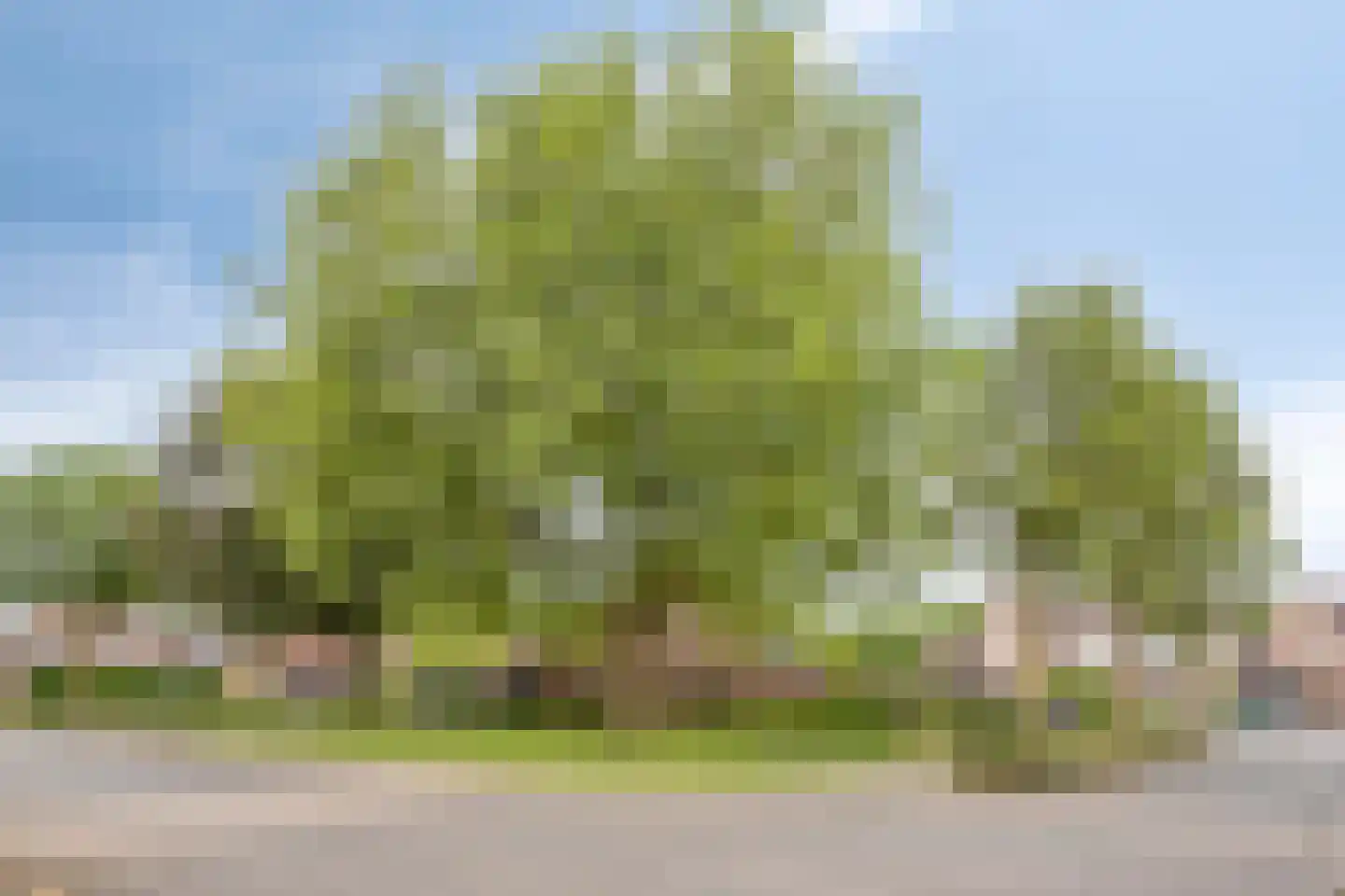 Gen. Dempseystraat 22 Panningen thumbnail 34