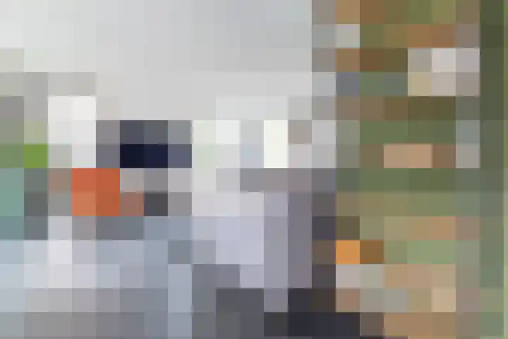 Gen. J.P. Gauthierlaan 13 Dokkum thumbnail 12